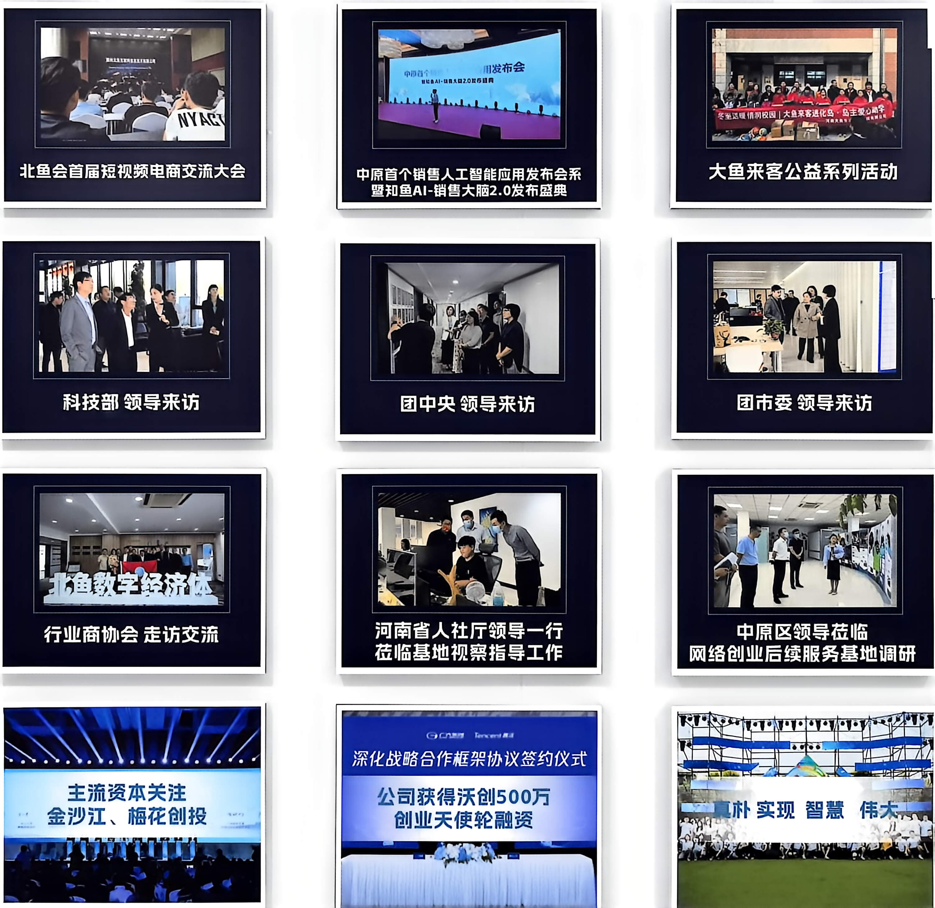 公司发展历程
